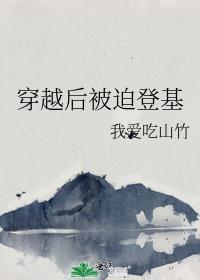 穿越后被迫登基TXT