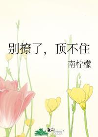 别撩了停下