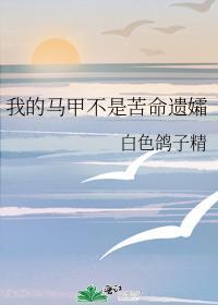 我的马甲不是苦命遗孀晋江