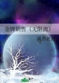 金牌销售阅读
