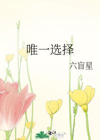 唯一选择六盲星晋江