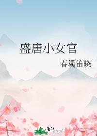 盛唐小女官的目录