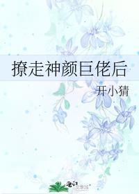 撩走神颜巨佬后gl笔趣阁