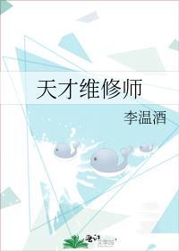 天才维修师免费阅读