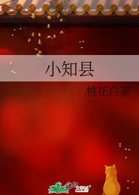九品小知县