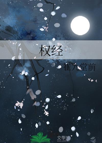权经作者