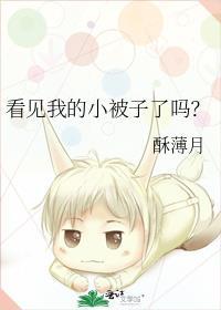 看见我的袜子了吗