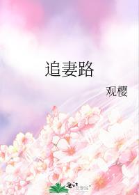 追妻路漫漫短剧全集顾洐沈清梨