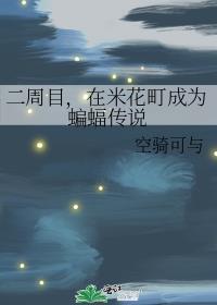 二周目在米花町成为蝙蝠传说空骑可与