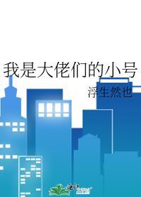 我是大佬们氪大的