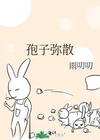 这个人半吊子是什么意思