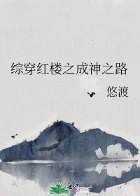 综穿红楼TXT