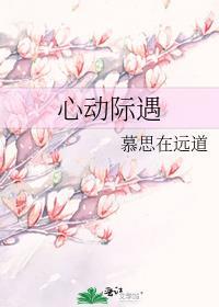 心动的际遇短剧免费观看