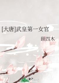 大唐武皇第一女官TXT