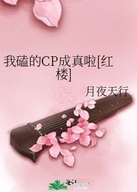 我磕的cp成真啦红楼笔趣阁免费