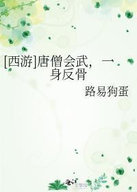 唐僧会武功的西游记