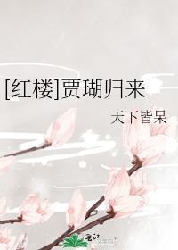 红楼梦之贾赦归来