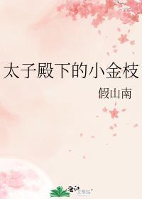 太子殿下的小金枝番外篇最新章节更新