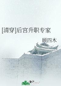 清穿后宫升职专家TXT