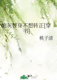炮灰替身重生了 完结+番外作者浮华偷生