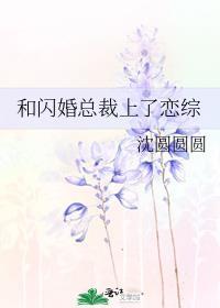 与闪婚总裁契约妻差不多的