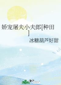 娇宠小夫郎TXT