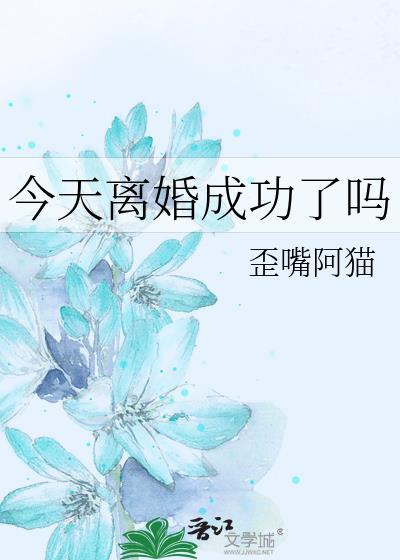 今天离婚成功了吗晋江