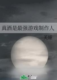 真酒是最强游戏制作人晋江