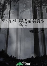 高冷统帅穿成柔弱真少爷后作者橘红定律