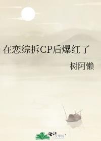 在恋综拆CP后爆红了作者树阿懒