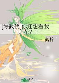 综武侠你还想看我开花格格党