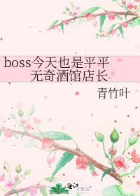 boss今天也是平平无奇的酒馆店长
