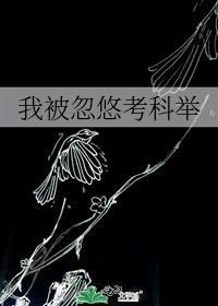 我被忽悠考科举作者二汀
