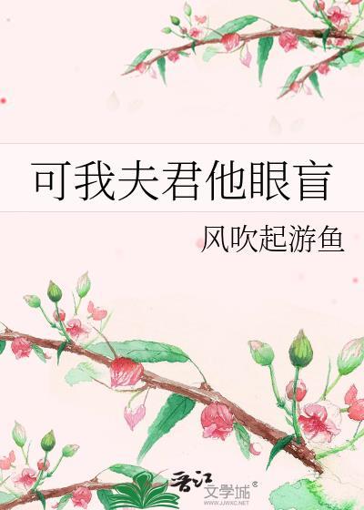 可我夫君他眼盲完整版