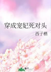 穿成宠妃的陪嫁