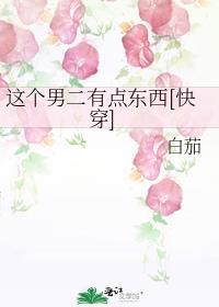这个男二有点东西类型的