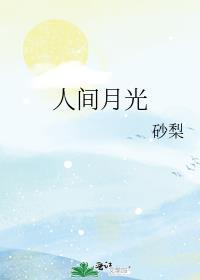 歌词 人间月