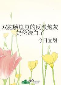 双胞胎奶爸小度