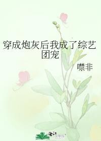 穿成炮灰后我成了团宠娱乐圈txt