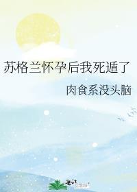 苏格兰情况