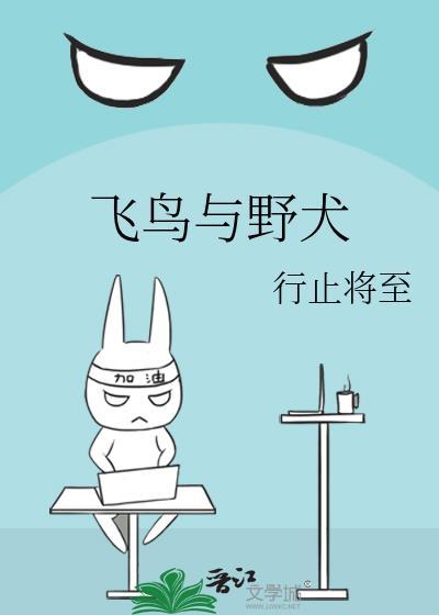 飞鸟与野犬免费阅读百度