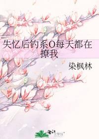 失忆后每天都是修罗场书包网
