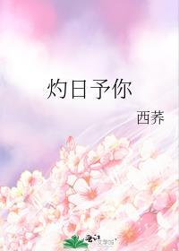 灼烧我叶暖