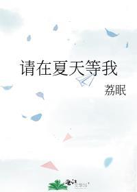 在夏天等你