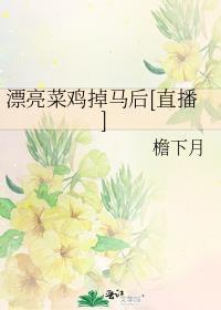 漂亮菜鸡掉马后txt