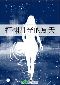 打翻月光的夏天免费阅读TXT