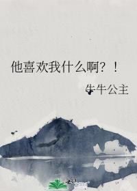 他喜欢我怎么说
