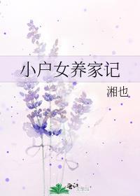 小户女养家记晋江