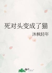 死对头变成了猫gI免费阅读