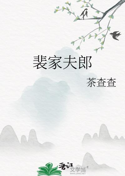 裴家夫郎茶查查讲的什么